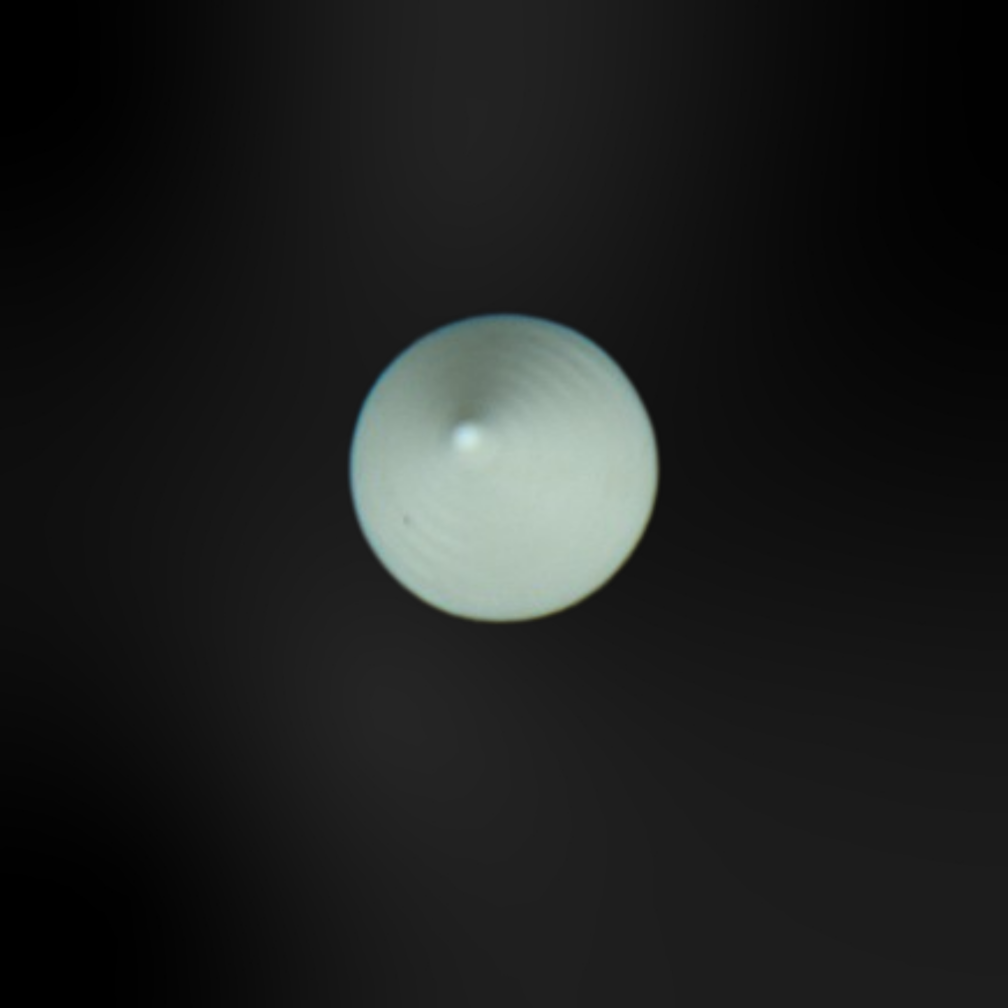 Charms für Clogs - Weiß