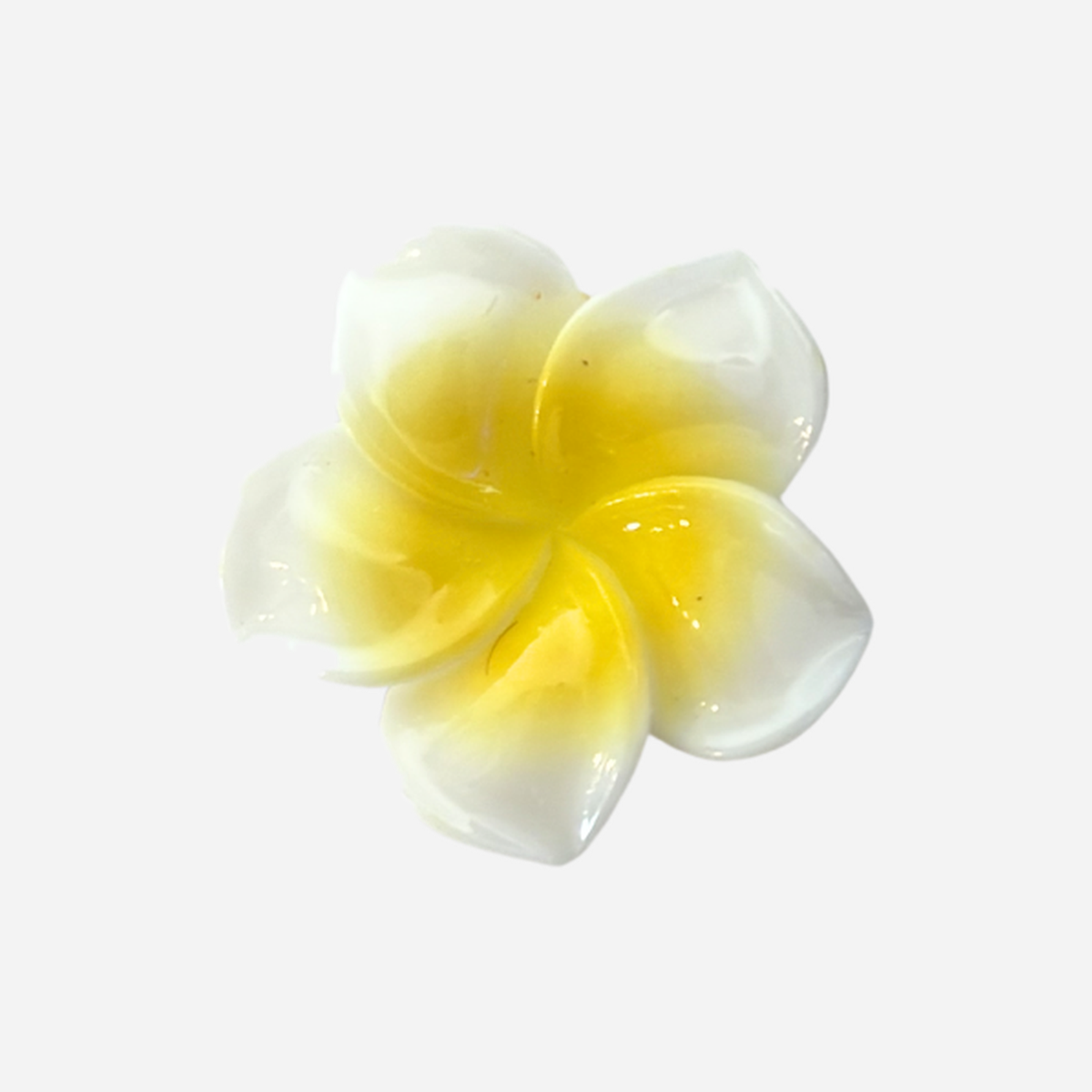 Pin's pour Clogs - Océan