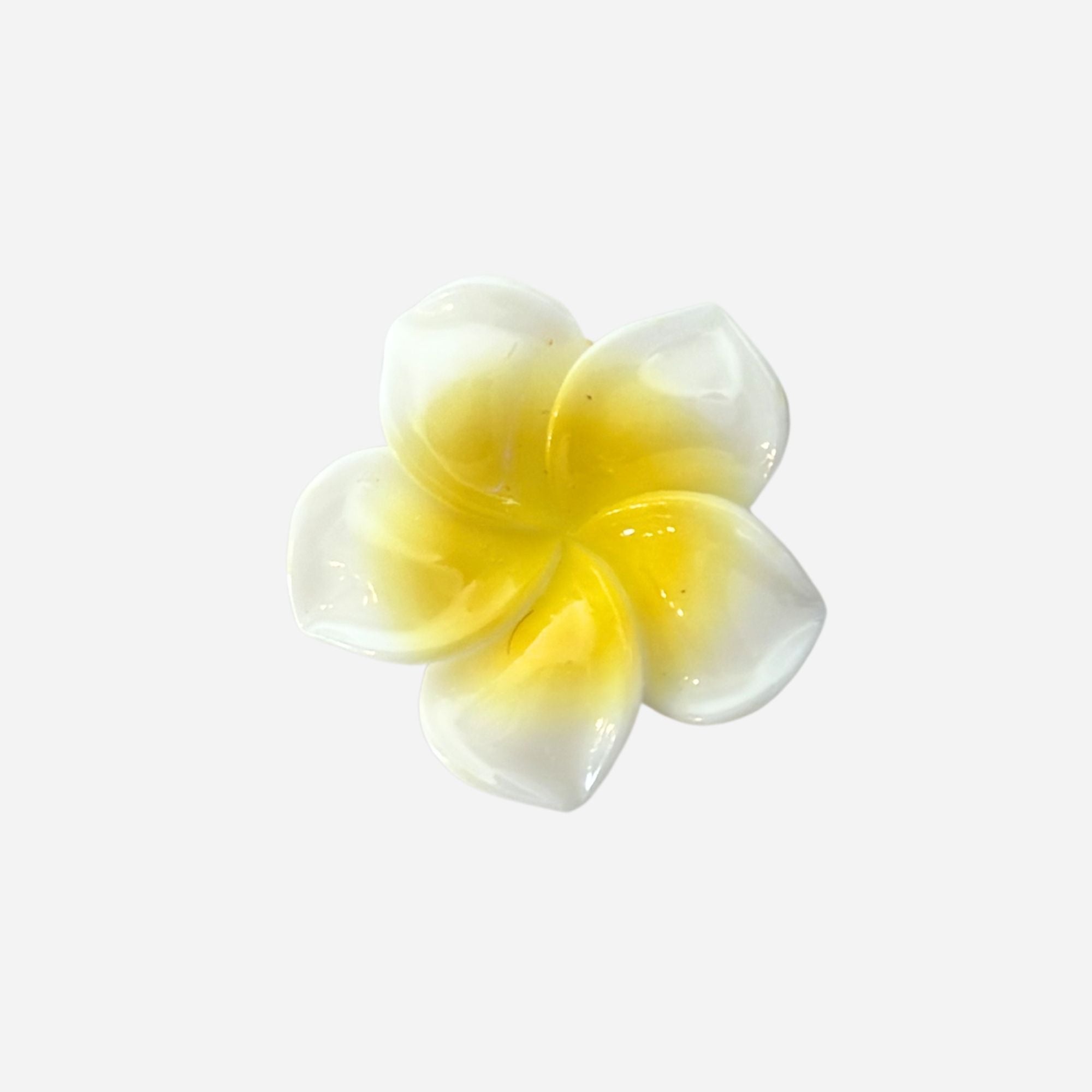 Pin's pour Clogs - Océan