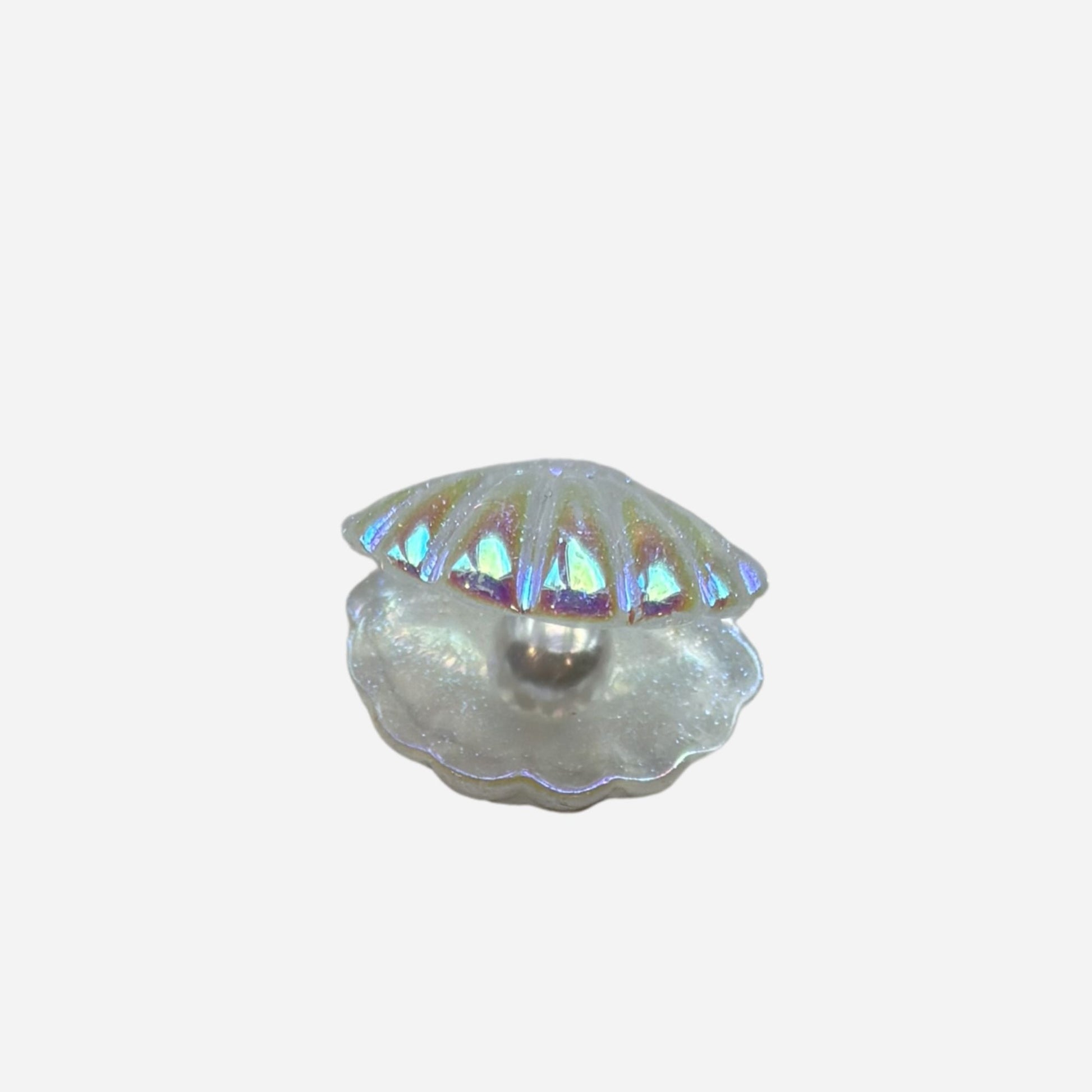 pins coquillage blanc